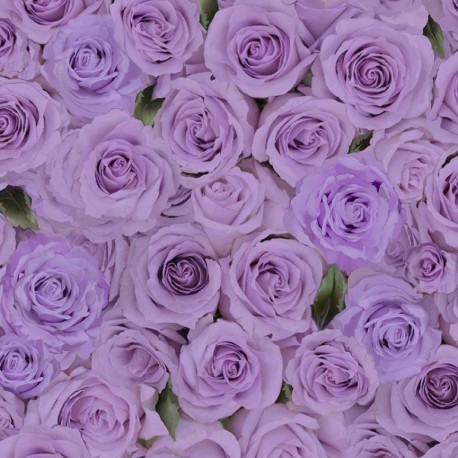 TT fleur CD 2370 Purple
