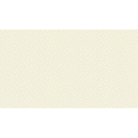 Essentials  Star  Cream/ White 306 Q2